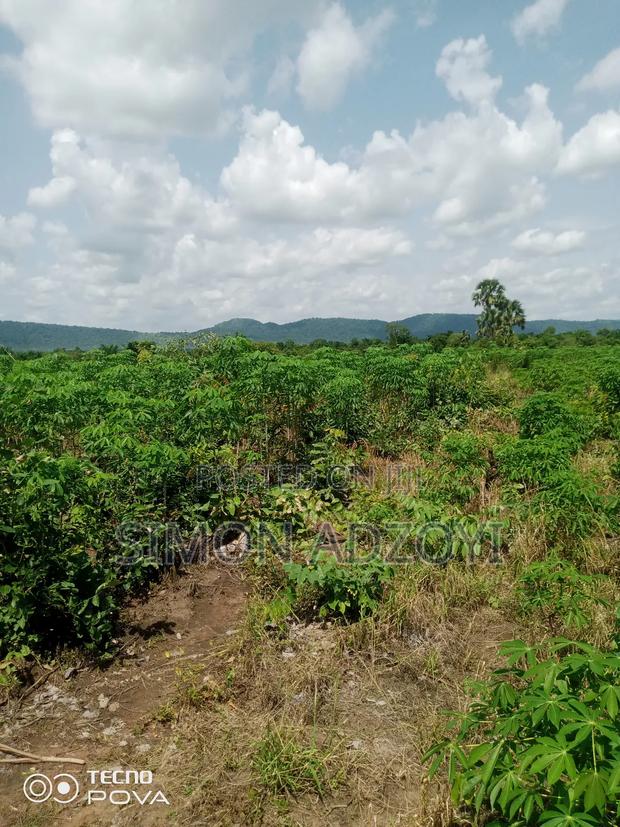 60 Acres Of Farm Land For Sale On The Mountain