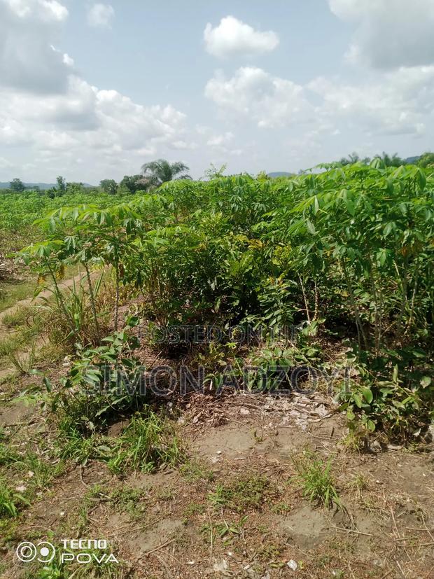 60 Acres Of Farm Land For Sale On The Mountain