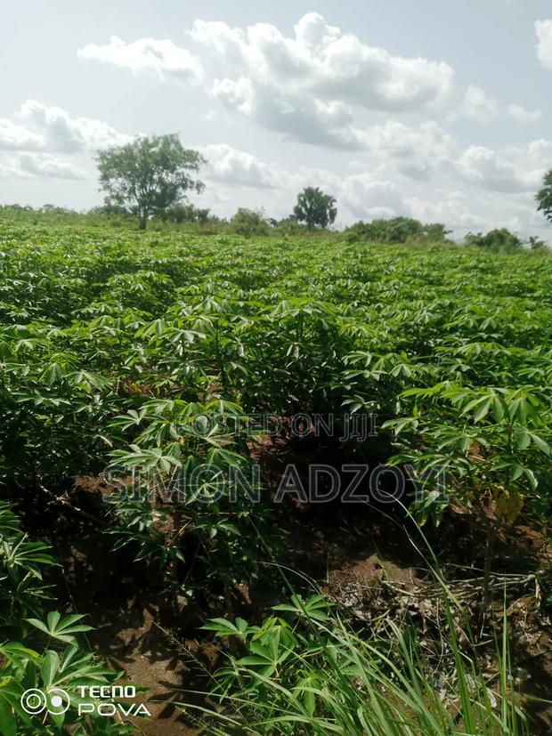 60 Acres Of Farm Land For Sale On The Mountain