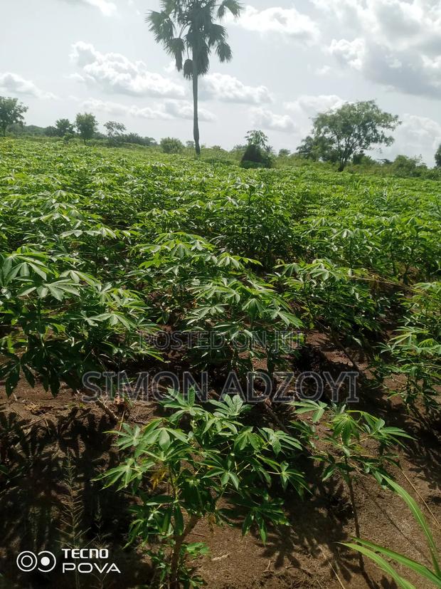 60 Acres Of Farm Land For Sale On The Mountain