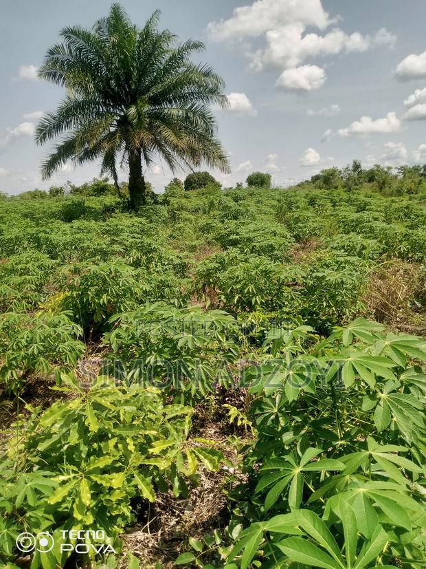 60 Acres Of Farm Land For Sale On The Mountain