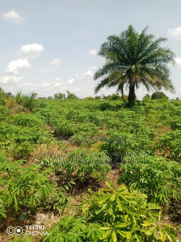 60 Acres Of Farm Land For Sale On The Mountain