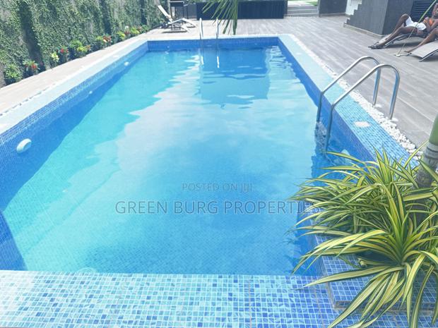 Furnished 1bdrm Apartment in Green, East Legon for rent photo 12