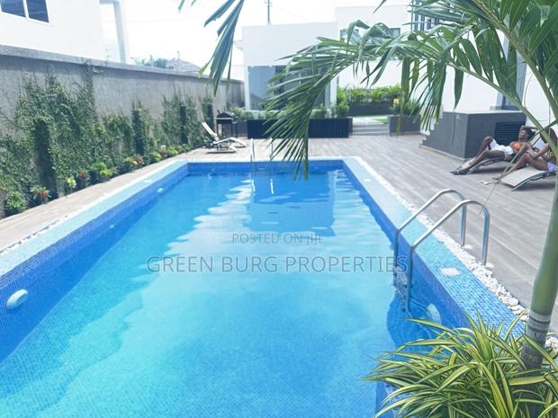 Furnished 1bdrm Apartment in Green, East Legon for rent photo 13