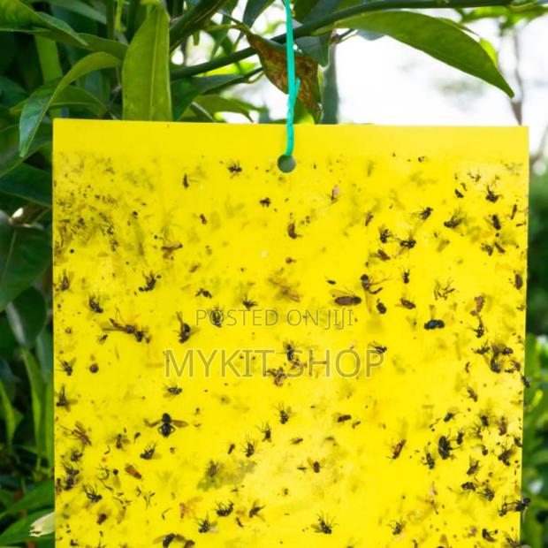 Fly Sticker · Photo 2