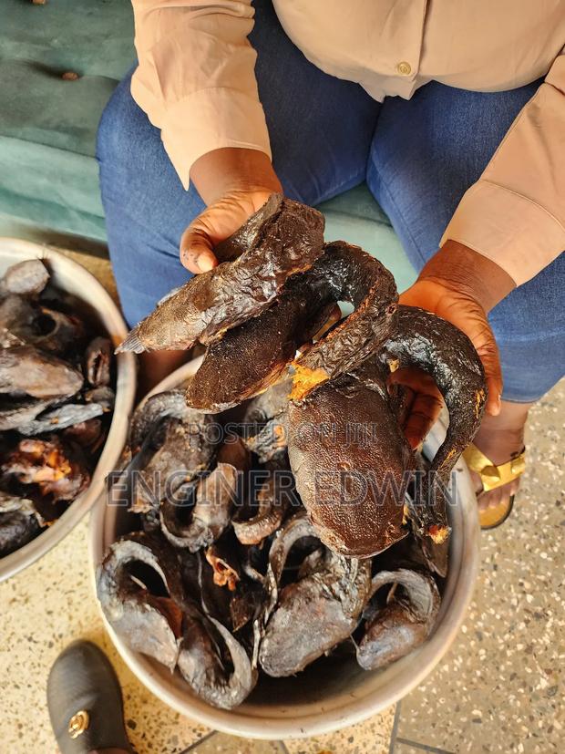 Smoked Catfish for Sale Both for Export Local Market