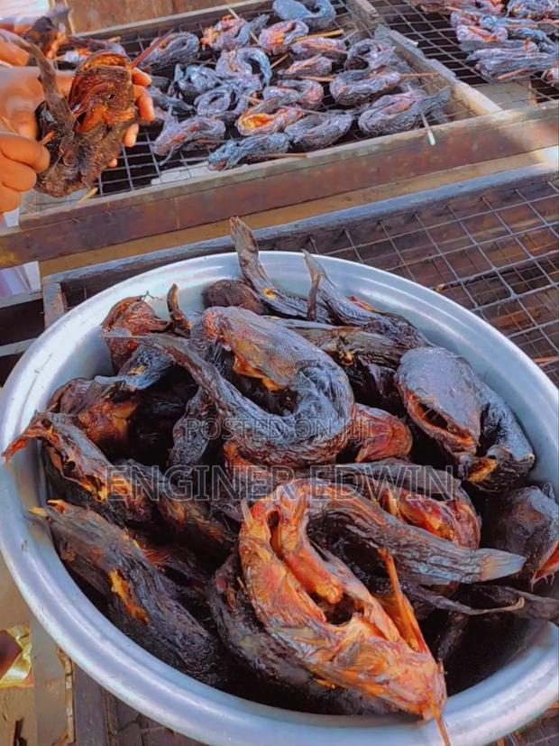 Smoked Catfish for Sale Both for Export Local Market photo 2