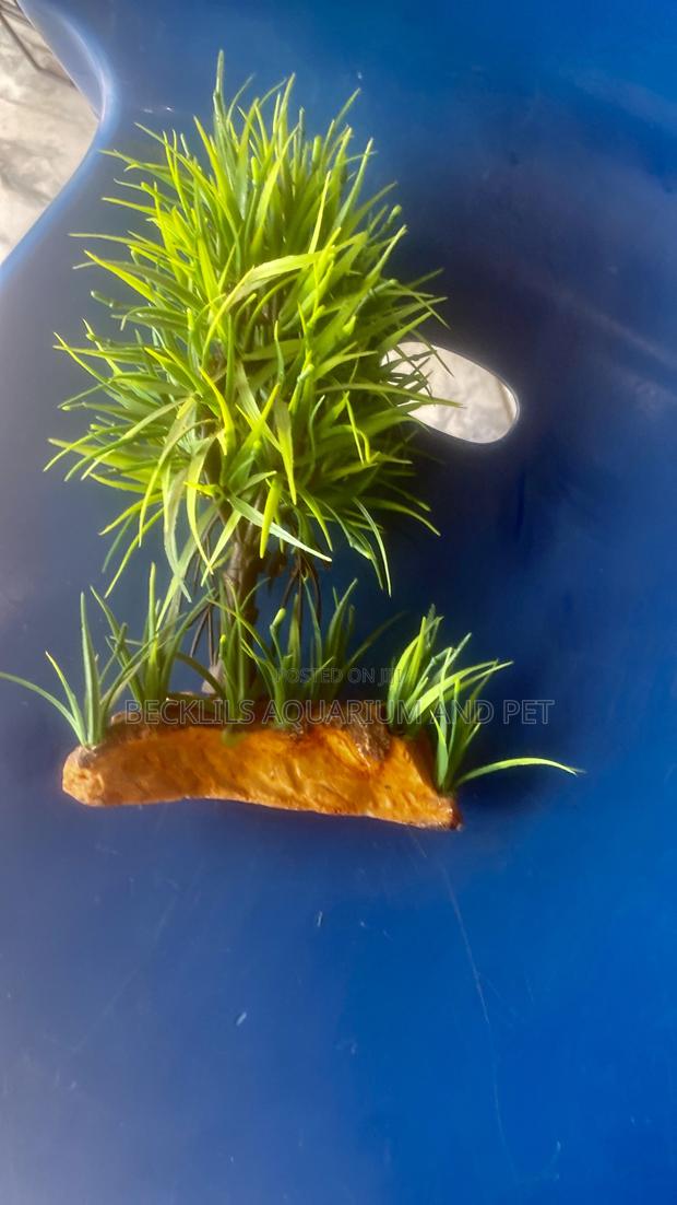 Green Aquarium Plant · Photo 2