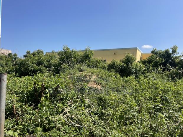 Land With Walled and Gate 4 Sale at West Trasacco · Photo 4