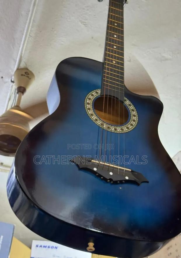 Gibson Semi- Acoustic Guitar · Photo 4