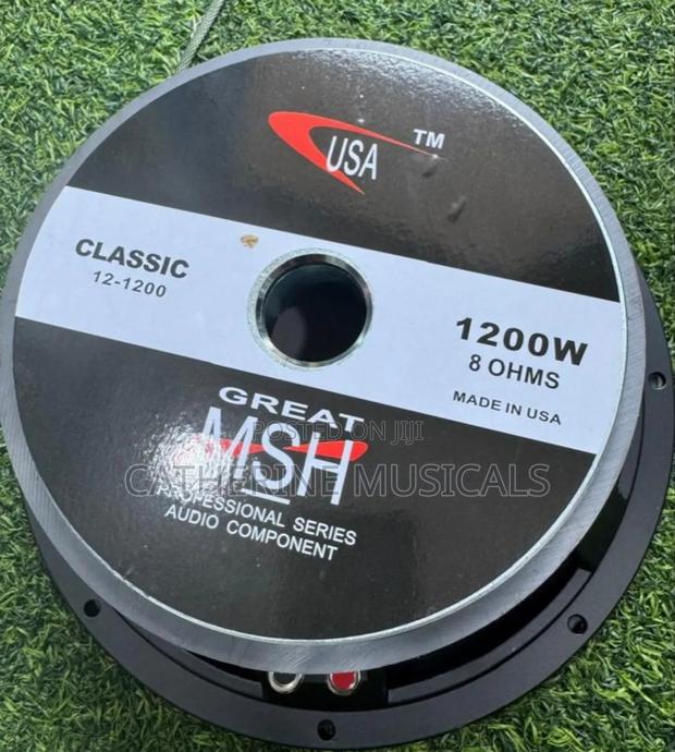 12 Inches Double Magnet Line Arry Speaker · Photo 4