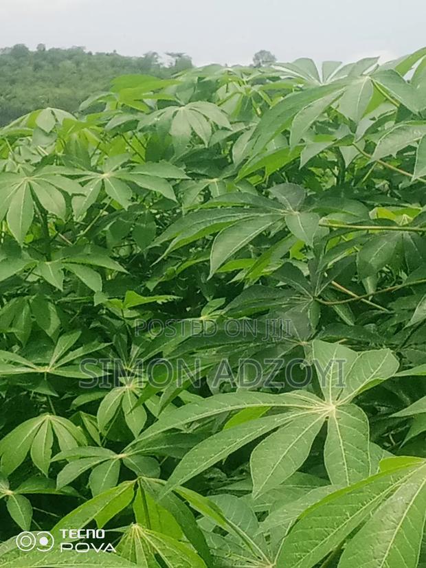 Riverfront Land for Long Lease