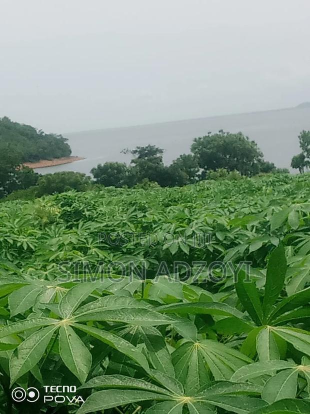 Riverfront Land for Long Lease