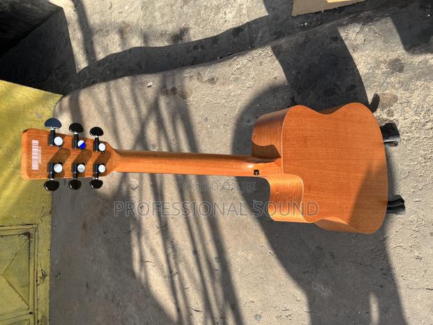 Acoustic Guitar (Strinberg) · Photo 4