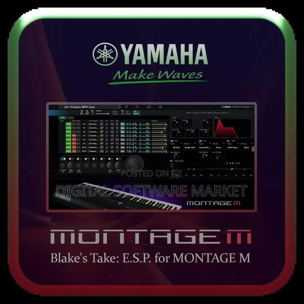 Yamaha Montage M Esp VST for Win · Photo 2