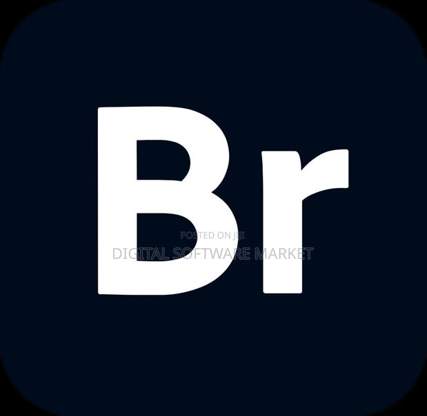 Adobe Bridge 2025 Windows or Mac Lifetime License · Photo 2