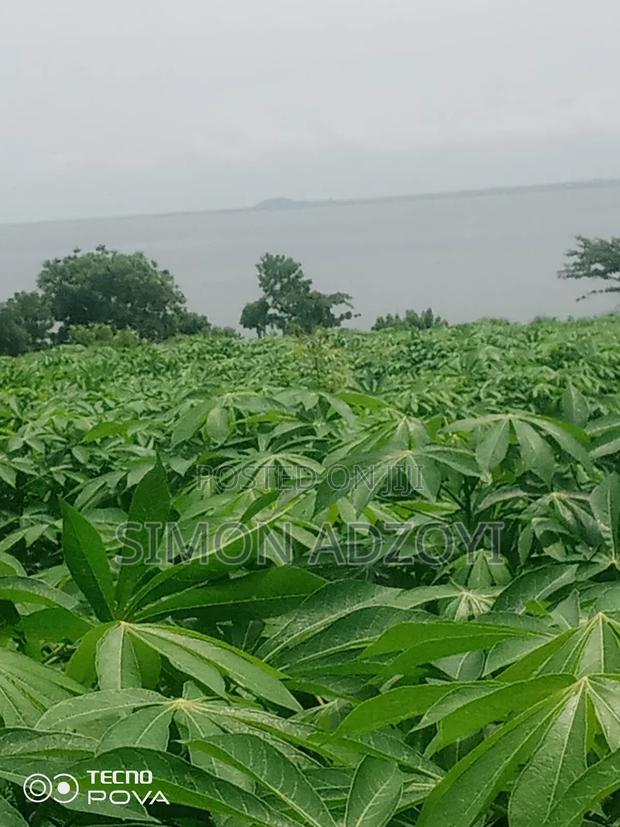 Riverfonte Land for Fish Farming or Crop Farming