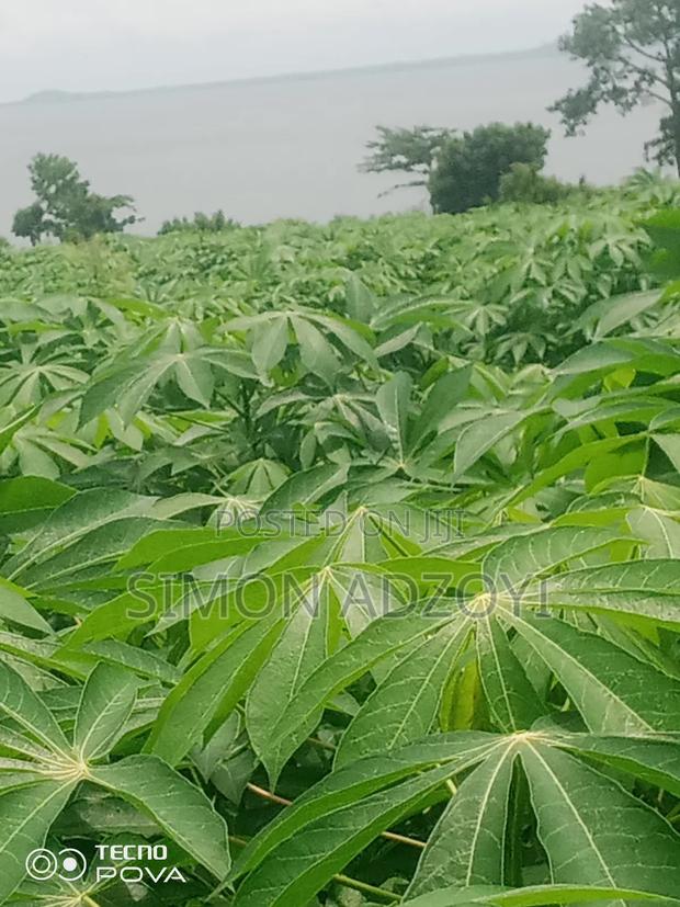 Riverfonte Land for Fish Farming or Crop Farming