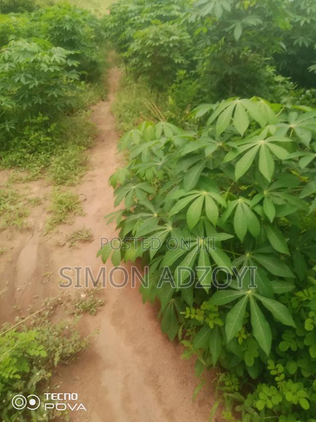 Riverfonte Land for Fish Farming or Crop Farming