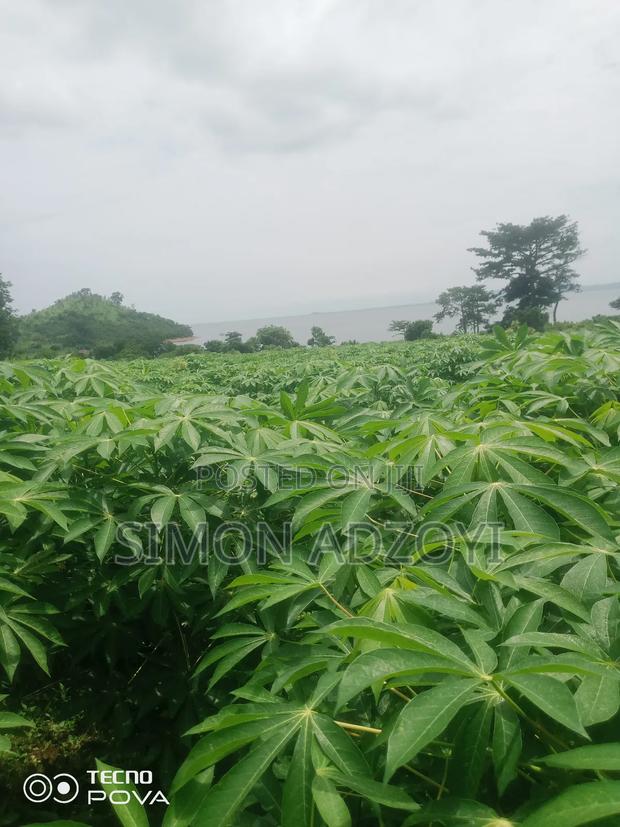 Riverfonte Land for Fish Farming or Crop Farming