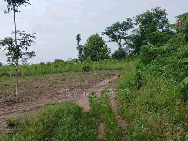 Registered 100 Plot of Land for Sale