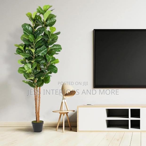 Artificial Plant (Fiddle Tree)180cm photo 3