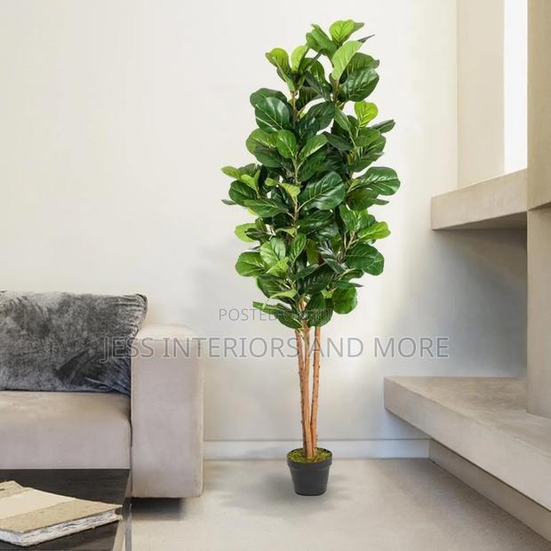 Artificial Plant (Fiddle Tree)180cm