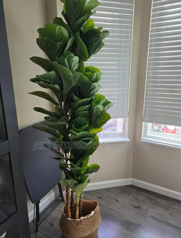 Artificial Plant (Fiddle Tree)180cm photo 2