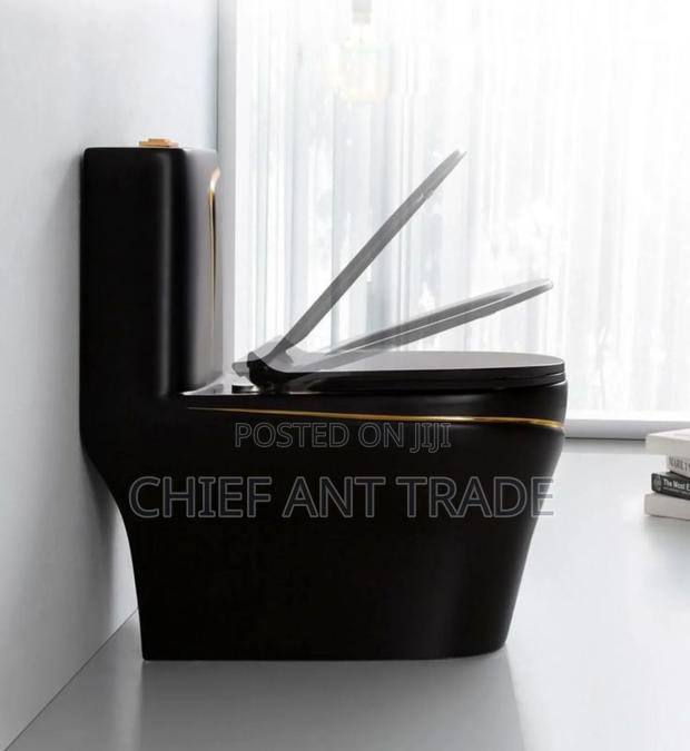 Black Wc Toilet Seat With Gold Gilt W652s · Photo 4