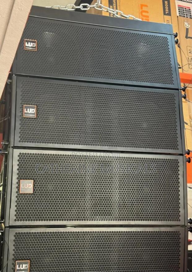 Lud 12- Inches Line Array Speaker · Photo 3