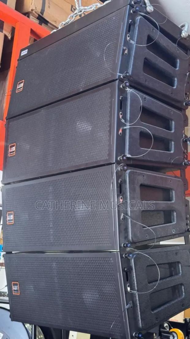 Lud 12- Inches Line Array Speaker · Photo 4