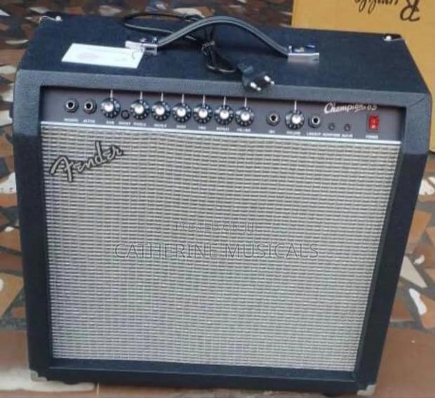 Fender Lead Combo · Photo 2