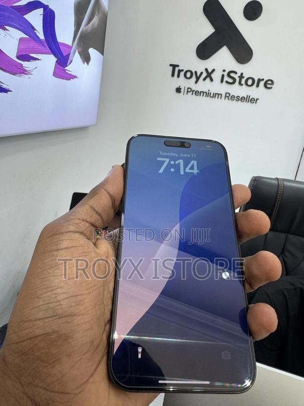 Apple iPhone 15 Pro Max 256 GB Black