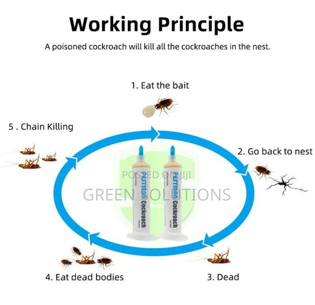 Cockroach Killing Gel photo 3