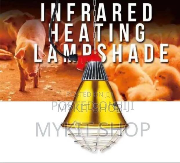 Infrared Heating Lamp · Photo 2
