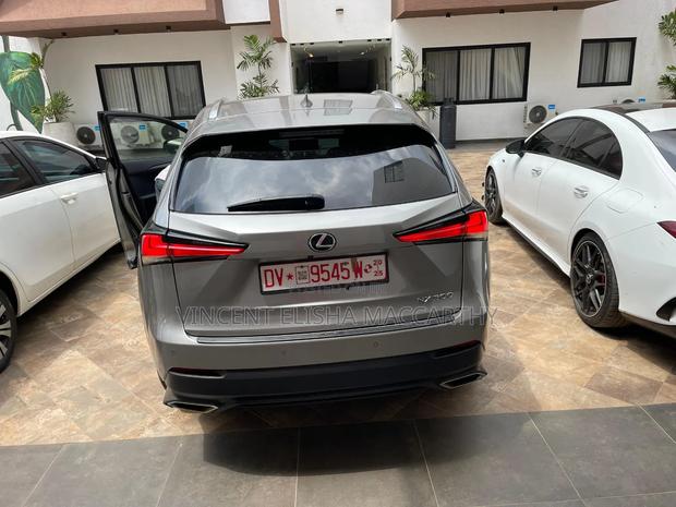 Lexus NX 300 AWD 2019 Gray