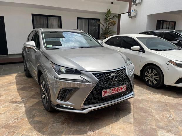 Lexus NX 300 AWD 2019 Gray