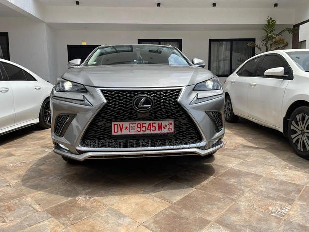 Lexus NX 300 AWD 2019 Gray