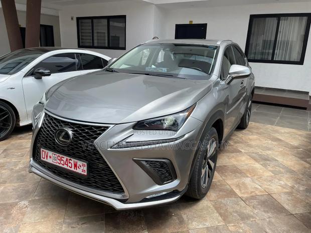 Lexus NX 300 AWD 2019 Gray