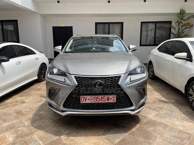 Lexus NX 300 AWD 2019 Gray