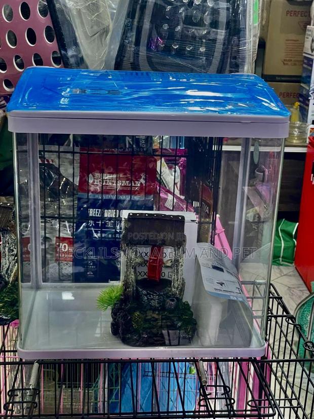 1 Feet Aquarium ( Miss Princes Aquarium ) · Photo 3