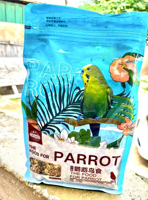 Miss Nun Parrot Food · Photo 2