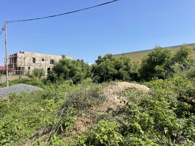 Bring a Car for a Peace of Land at West Trasacco · Photo 4