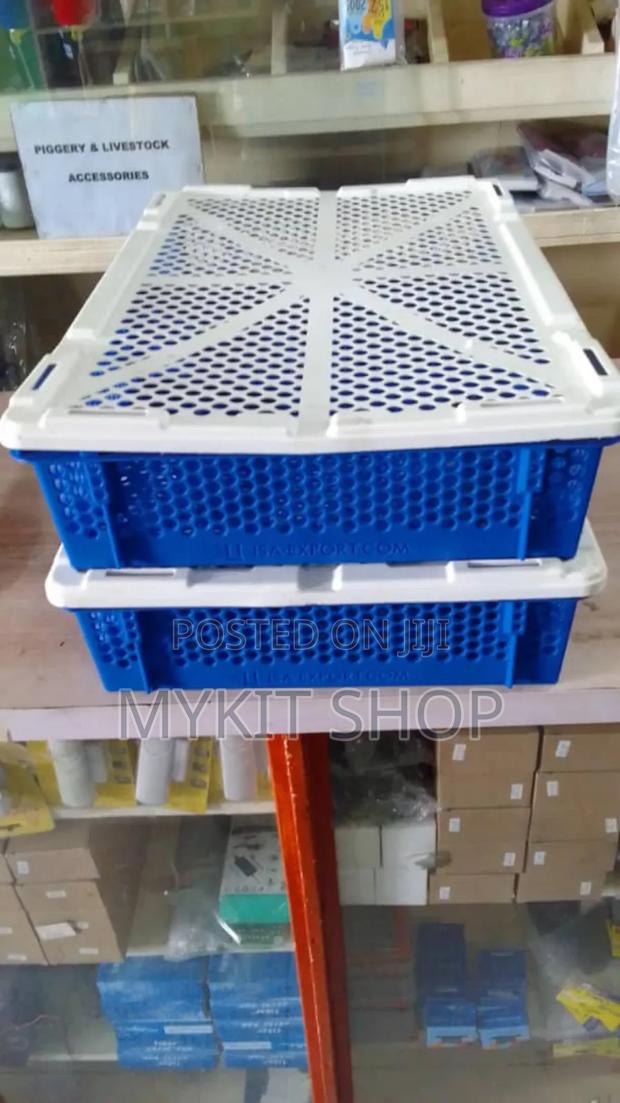Doc Mini Transport Basket · Photo 2