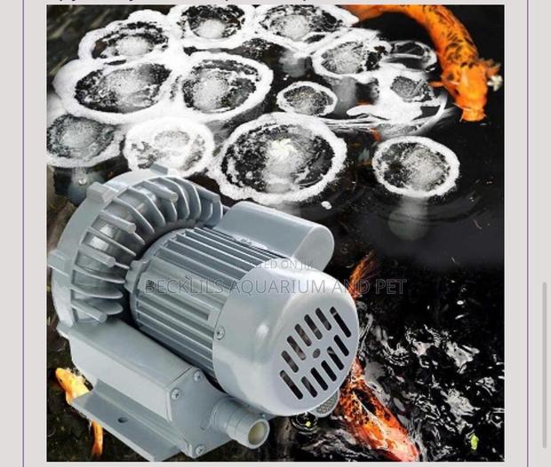 Hailea 24 Outlet Air Blower ( 290 W) · Photo 4