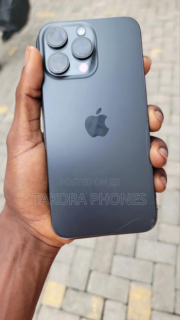 Apple iPhone 15 Pro Max 256 GB Gray photo 2