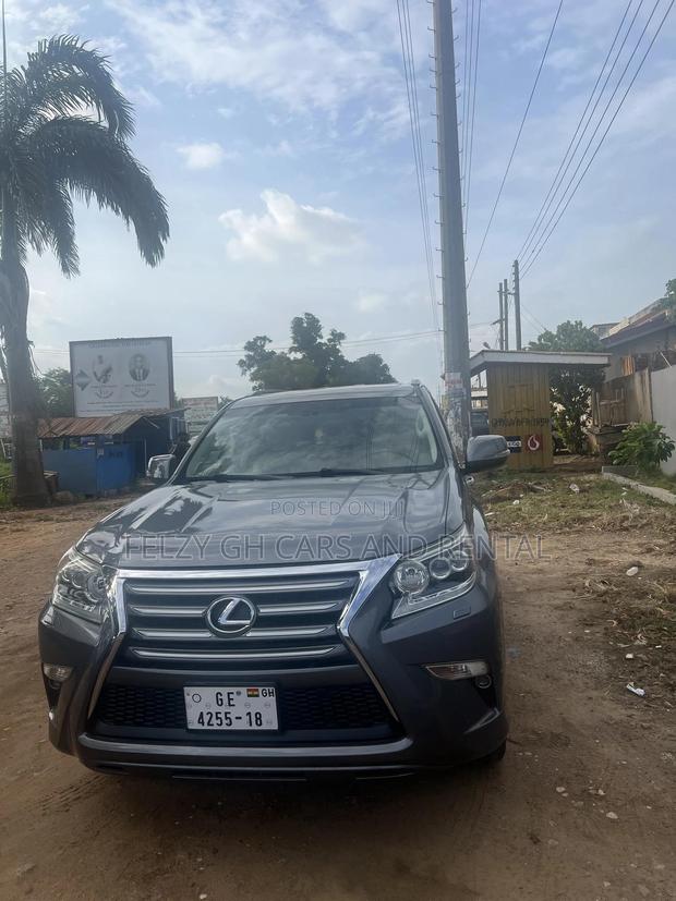 Lexus GX 460 Luxury 2016 Gray photo 15
