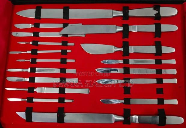 Scalple Knifes Stainless Steel (All Size)
