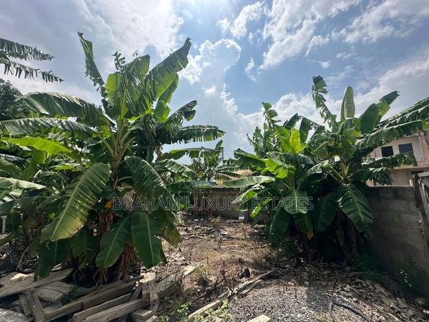 Prime 100x60ft Plot for Sale – Spintex-Batsona | $95,000 · Photo 2