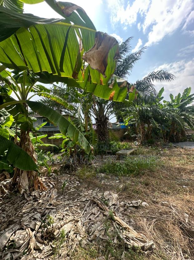 Prime 100x60ft Plot for Sale – Spintex-Batsona | $95,000 · Photo 4